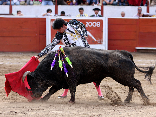 El trazo, hasta el final