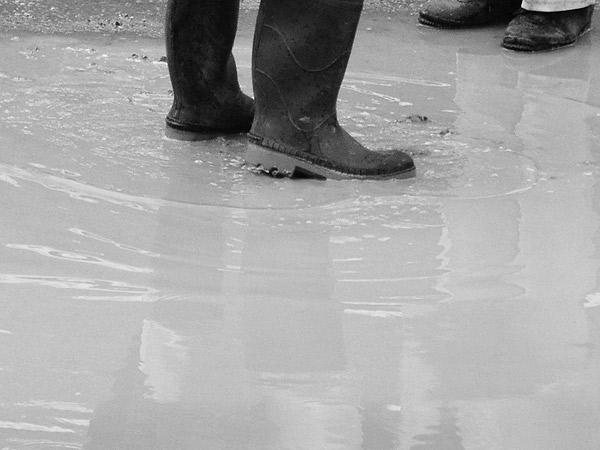 Aut�nticas lagunas