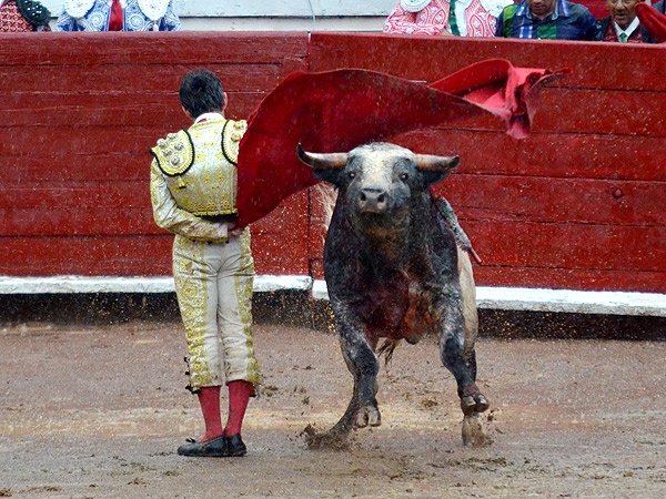 Estoicas manoletinas
