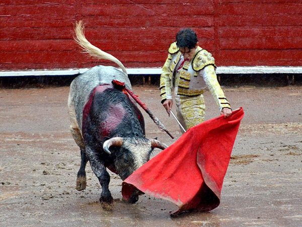 Sin forzar al natural