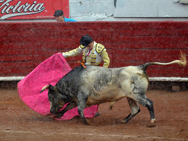 Herrera, toreando bajo la lluvia