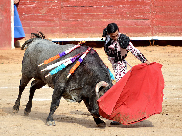 El trasteo se diluy�