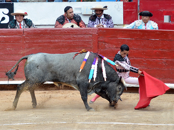 La t�cnica de Emilio M�cias