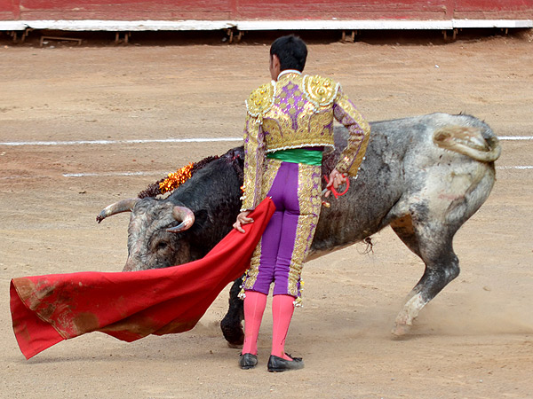 Desmayando el muletazo
