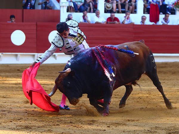 Largueza del casta�o