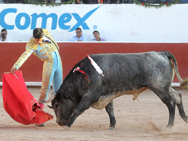 Flores con el cierraplaza
