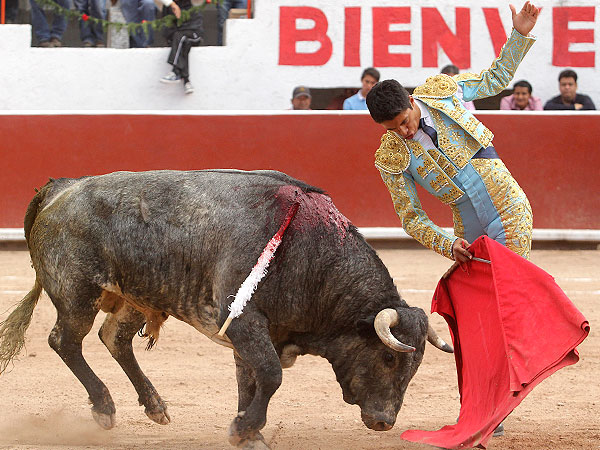 Meti�ndole en la muleta