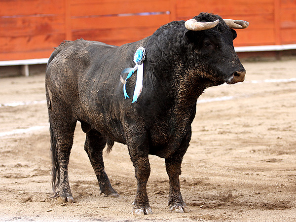 Cuesta arriba, y cubeto