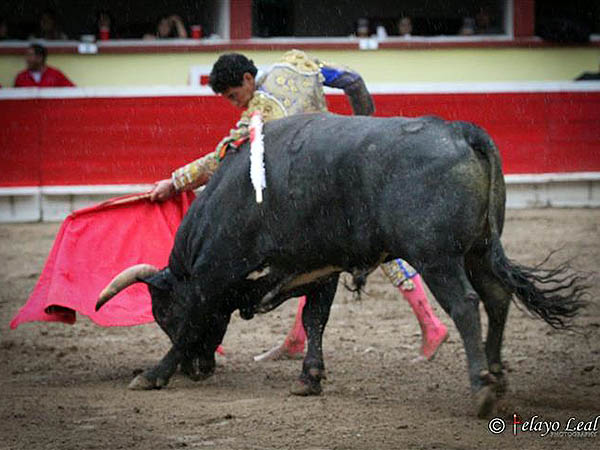 Calibrando al c�rdeno