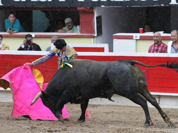 Lances de Brandon Campos