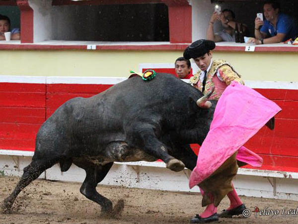 Saludo de Garza Gaona