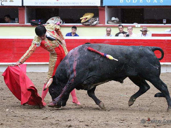 Destellos de buen torear