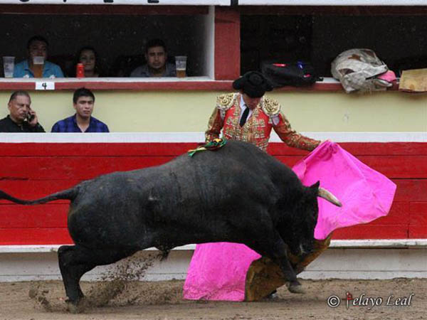 Capote de Gerardo Adame