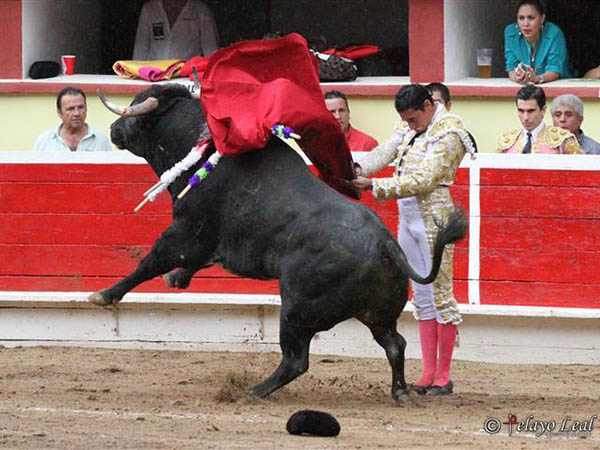 Inmovilidad po�tica