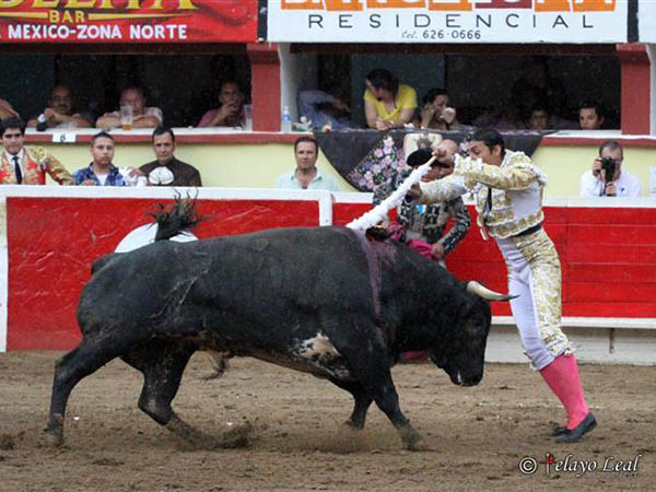 En la cara del ejemplar