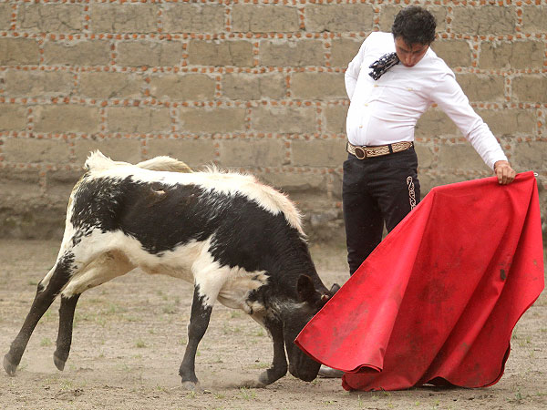 Torero de temple
