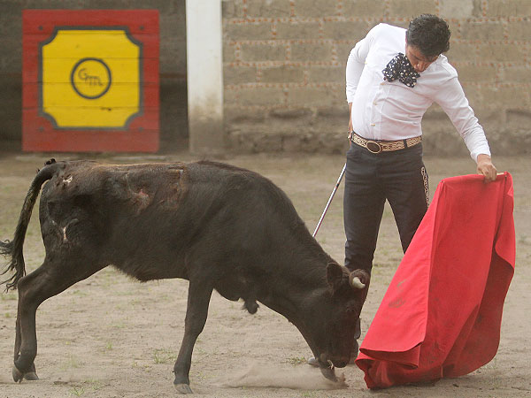 Listo para la alternativa