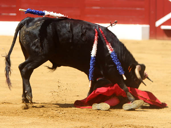 Momentos dif�ciles