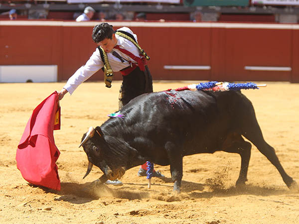 El recorrido del ejemplar