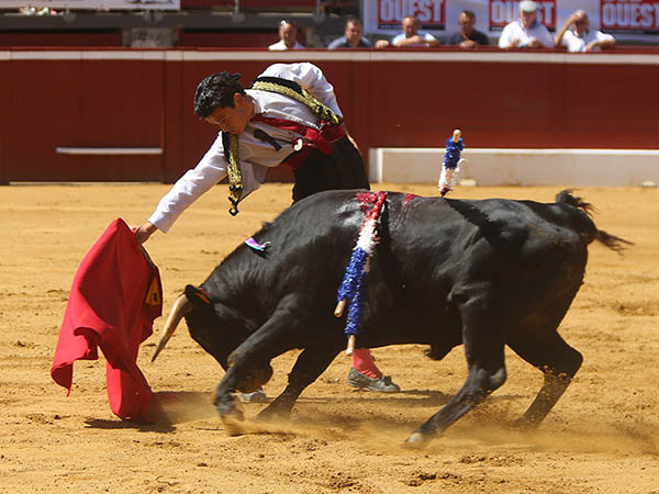 Extensi�n al muletazo