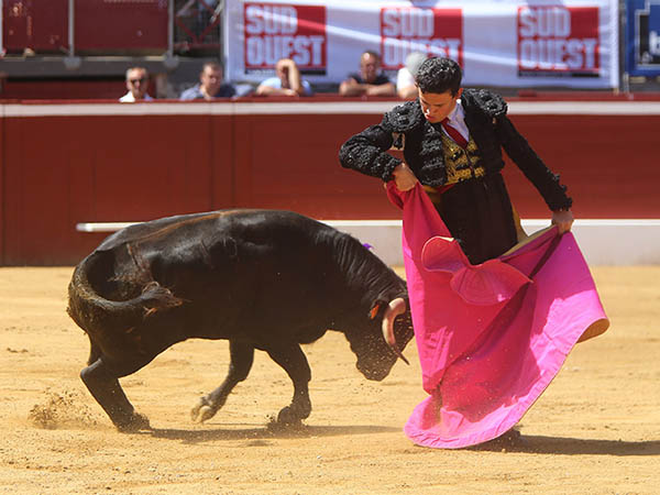 Sello en las chicuelinas