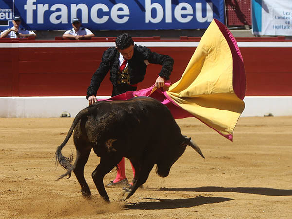 Evocando a Miguel �ngel