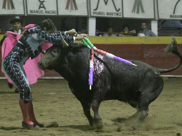 Metido entre los pitones