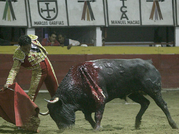 Roto con el toro