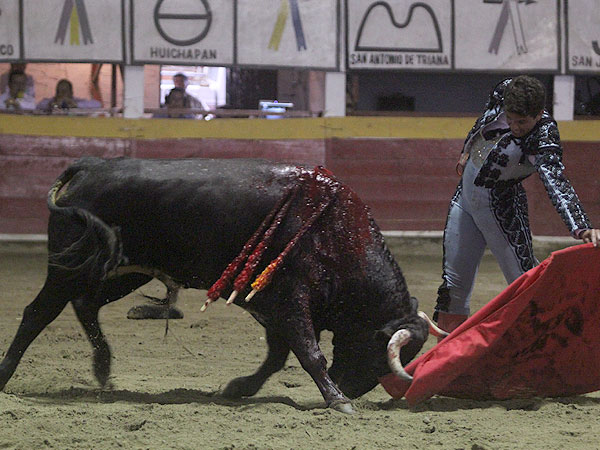 Gran toro de Gonzalo Iturbe