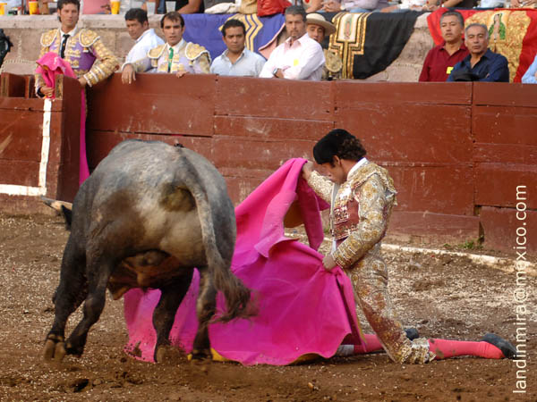 Ver�nicas de hinojos