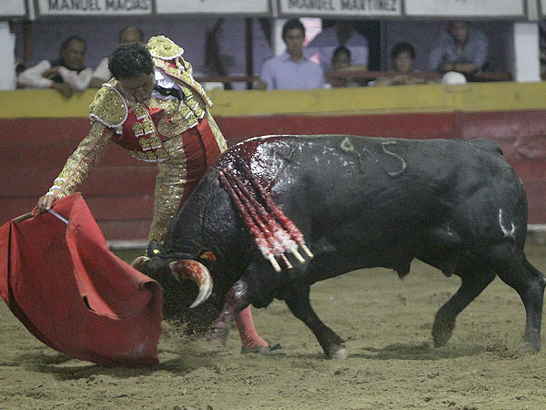 Maestr�a y suavidad