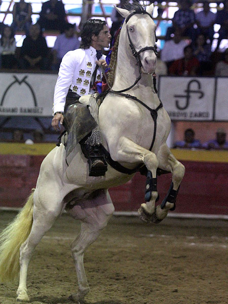 Una doma impresionante