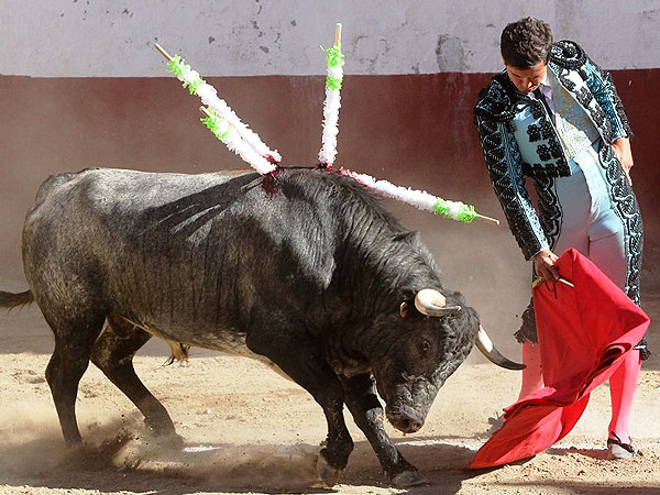 Meti�ndolo al enga�o