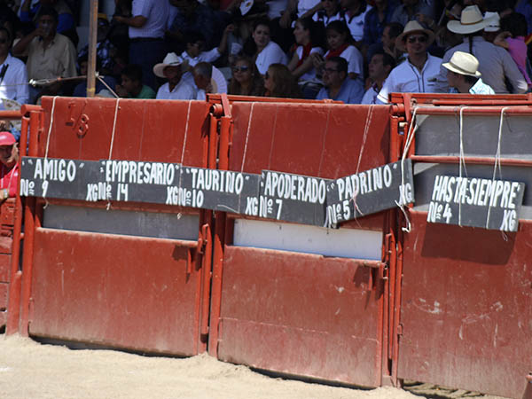 En honor al desaparecido 