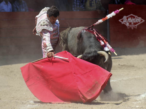 Coreado en los circulares