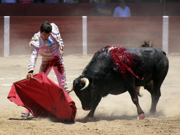 La muleta de V�ctor Mora