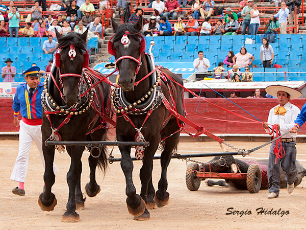 Arrastre lento, con percherones