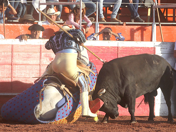 La cuadra aguant� el corrid�n