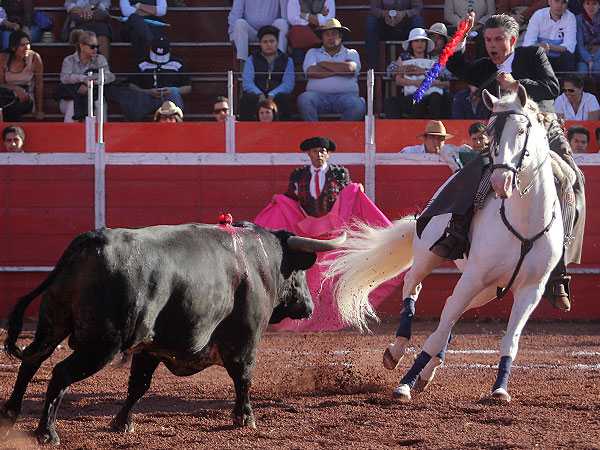 Tirando del toro