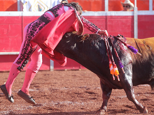 Entregado en la estocada