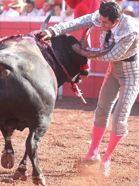 El pit�n en el pecho