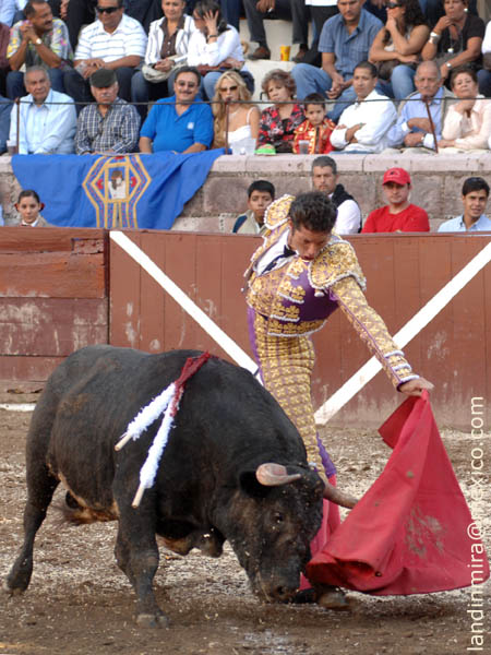 Extensi�n al natural