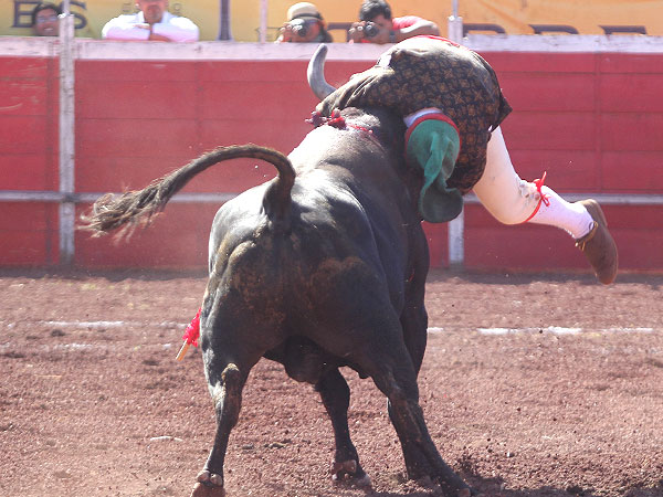 Forcados de Mazatl�n