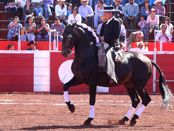 Horacio Casas caballero en plaza