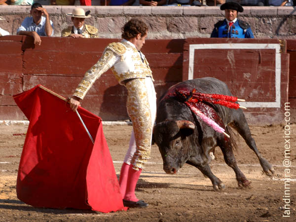 Emoci�n en el albero