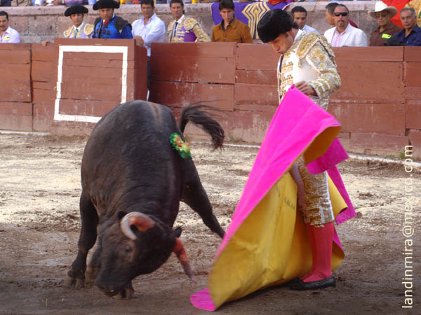 Ver�nicas de Gal�n