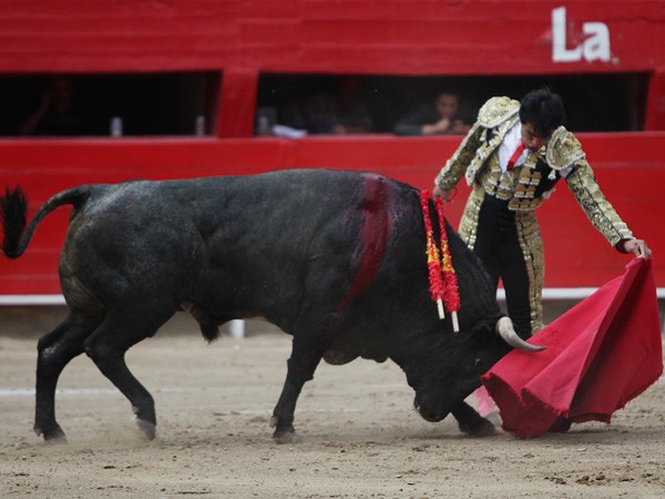 Un estupendo natural