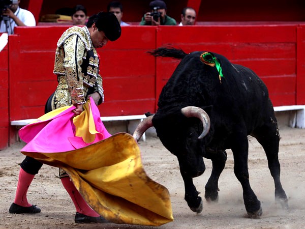 Humberto: maestro del capote