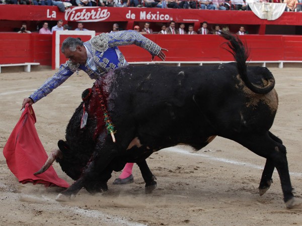 A su m�s puro estilo