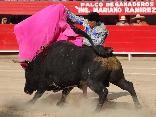 El Pana no se acomod� de capa